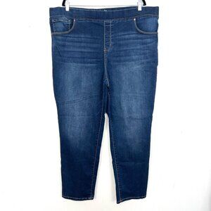 Terra & Sky Pull On Straight Jeans 2X 20W-22W Dark Wash Blue